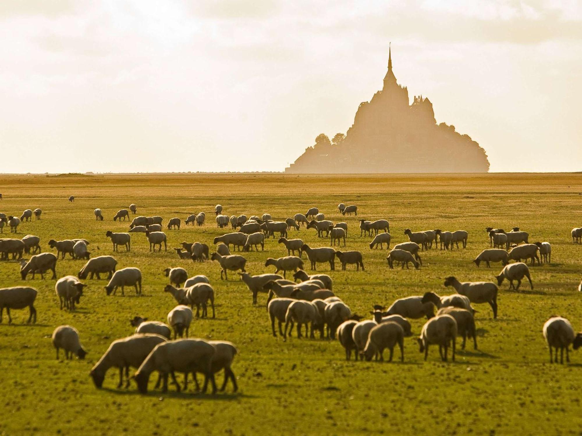 Hotelf1 Avranches Baie Du Mont Saint Michel Exterior photo